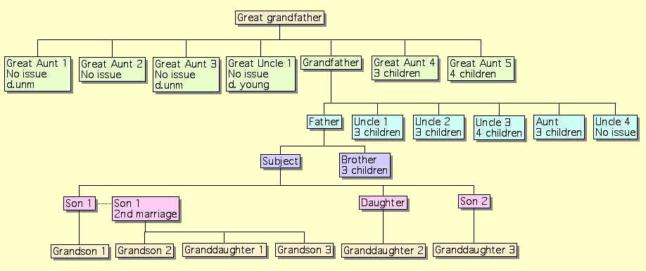 Pedigree Chart Numbering System